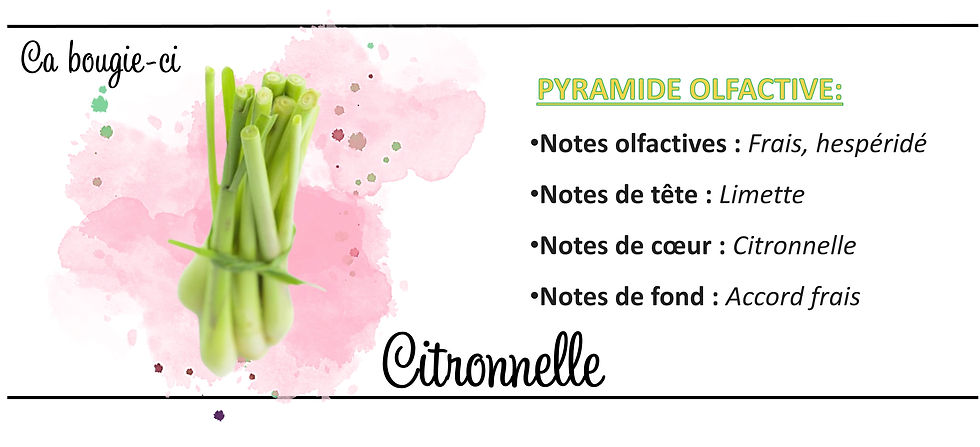Citronnelle