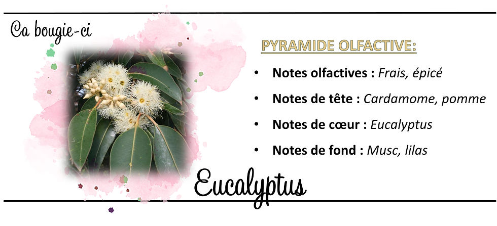 Eucalyptus