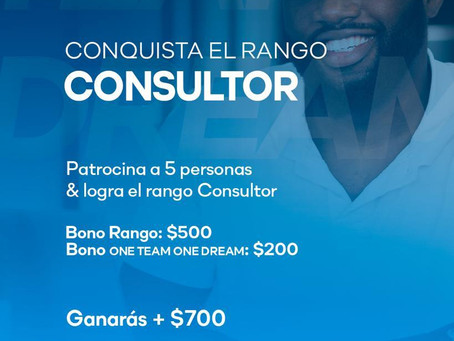 Bono Consultor ciclo 8