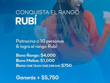 Bono Rubi ciclo 8