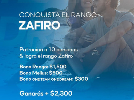 Bono Zafiro ciclo 8