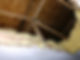 10419.jpeg