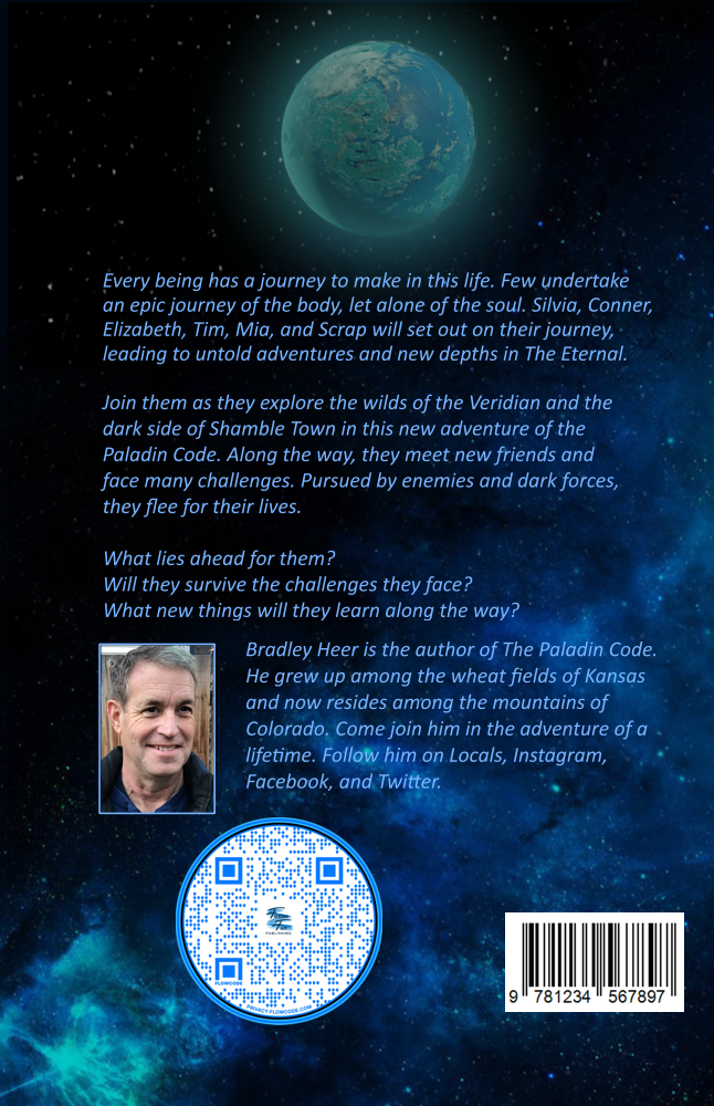 Thumbnail: EBook - The Paladin Code: The Journey