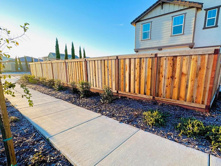 A wooden fence built by Fence Solutions