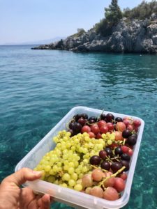 datça-teknegezisi-datçakoyları-letsgosebnem-üzüm-datçaüzüm