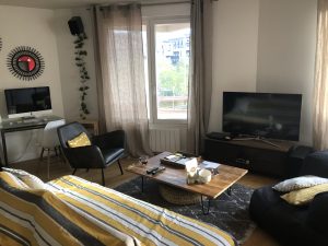 Airbnb-apartmentinlyon-lyonaccomodation-lyonkonaklama