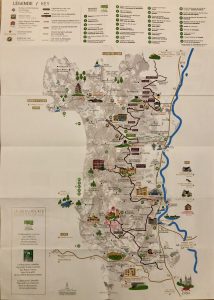 lyon-destinationbeaujolais-winetasting