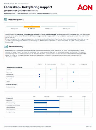Ledarskap Rekryteringsrapport PDF