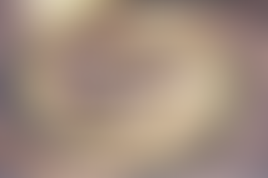 Flowers, Staircases, and The Golden Ratio