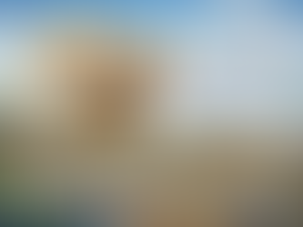 22/7 and the Approximation of Irrational Numbers