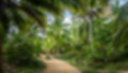 AdobeStock_118571338.jpeg