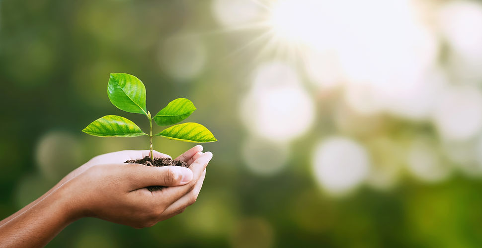 Eco-friendly Cleaning