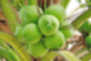 AdobeStock_52377829.jpeg