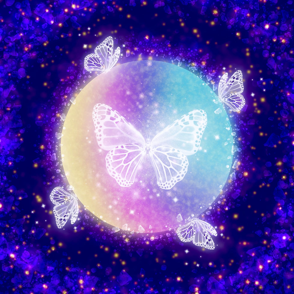 Butterfly Night Icon
