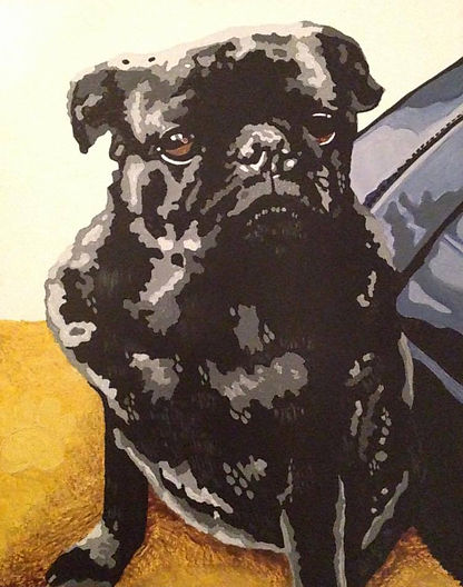 Pug_edited.jpg