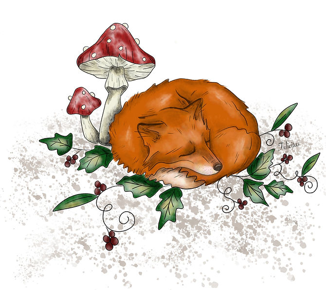 Fox_edited.jpg