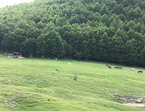 Monte Pollino