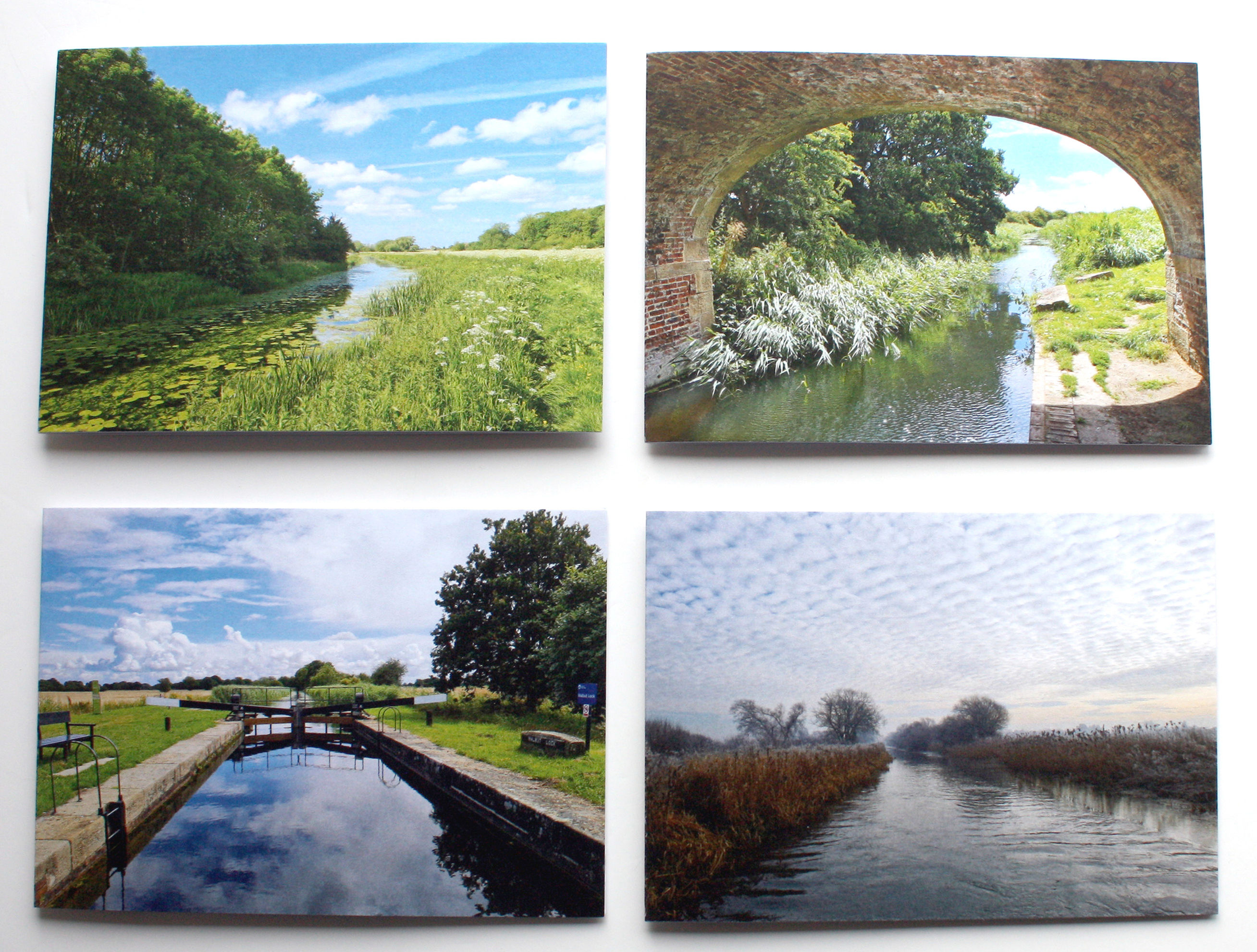 Pack of four notecards with envelopes