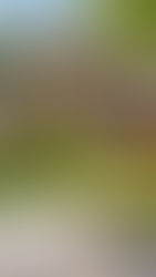 Transform Your Home's Curb Appeal: Outdoor Remodeling Projects Worth the Investment