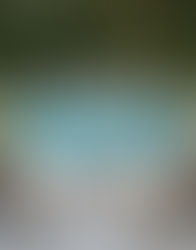 Beat the Heat this summer, Get a pool.