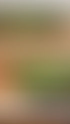 You Know What's Cooler Than Cool? Recycled Materials!