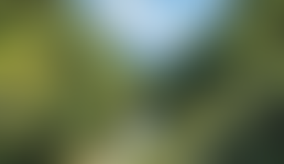 Himachal Pradesh Sets Target of 31% Forest Cover by 2030;Sukhvinder Singh Sukhu of Directs Sustainable Roadmap