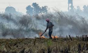 Subsidies of Over 1,800 Farmers Blocked in Bihar Over Stubble Burning; Incidents Decline in 2025