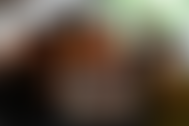 📰 Opposition Grows in Karnataka Against Transgender Persons Rights Amendment Bill