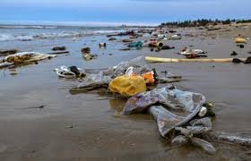 📰 ‘Toothless Ban’: Study Finds Widespread Violation of Single-Use Plastic Rules Across Major Cities