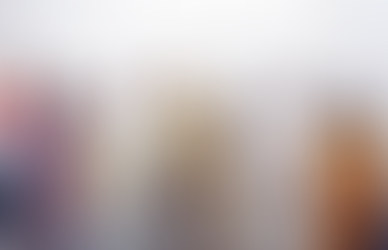 🏛️ Six BJP MPs Meet Delhi L-G, Raise Civic Issues and Assure Support for Development