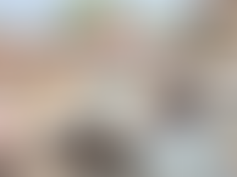 Three CoBRA Personnel Among Four Killed in Road Accident in Chhattisgarh