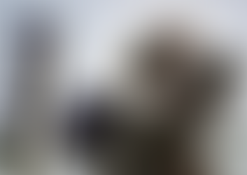 Heatwave Likely in Parts of Maharashtra; Rain Forecast in Three Divisions