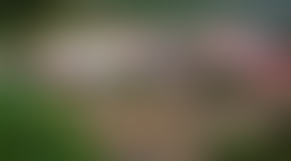 Landslides, Cloudburst Wreak Havoc in Himachal Amid Relentless Rain; Schools Shut, Exams Cancelled