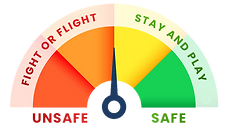 SafetyMeter_COLOR_alpha.png