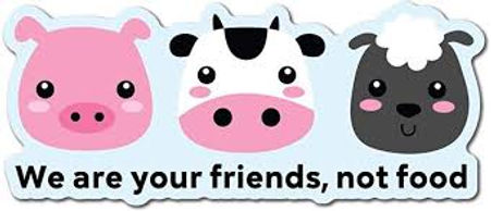 Friends, not food.jpg
