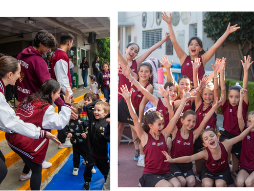 The Underlooked Effort of SALT in Homecoming