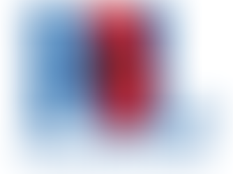 Harpenden Lions help Royal British Legion Poppy Appeal  