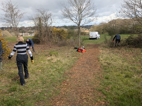 Harpenden Lions Support Local Nature: Wetlands and Wildlife Thriving