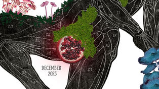 Trans Guy Archive monthly zine (Dec. '25)