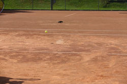 Clubmeisterschaften2013_130