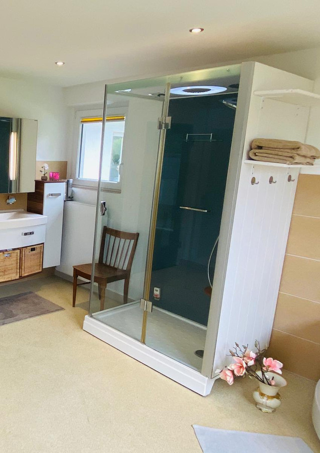 Moderne Dusche mit vielen Wellness-Optionen.