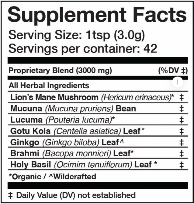 Thumbnail: The Mind | Cognition + Focus