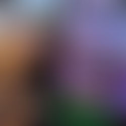 Happy children with Chummy Chum around