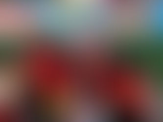 Spreading Joy Where It’s Needed Most