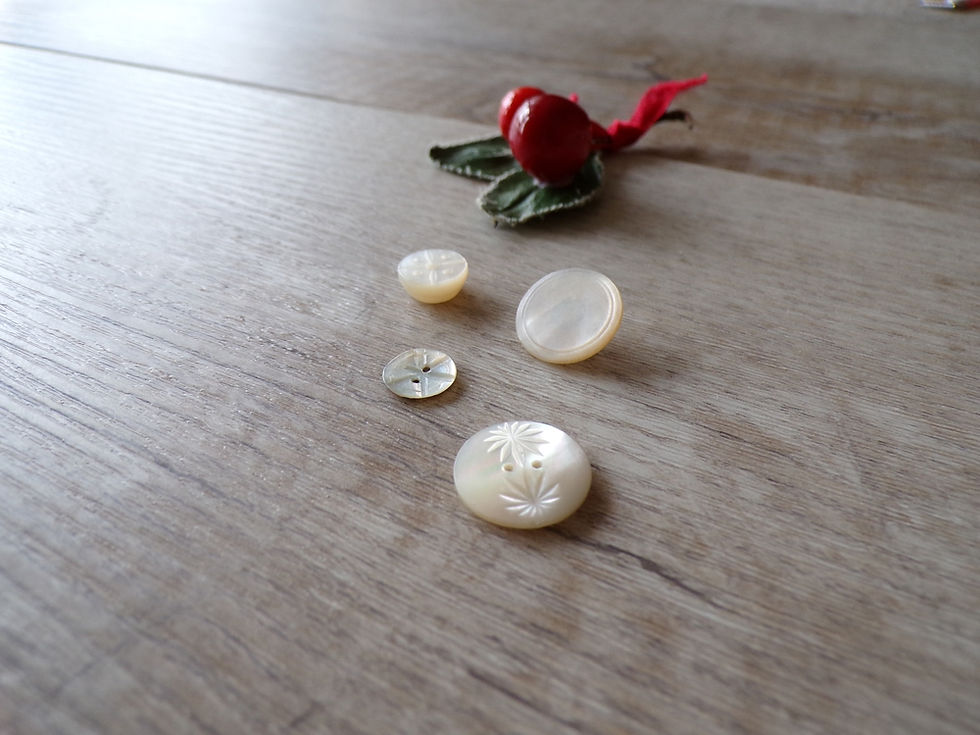 Miniature : Lot "Palmier"