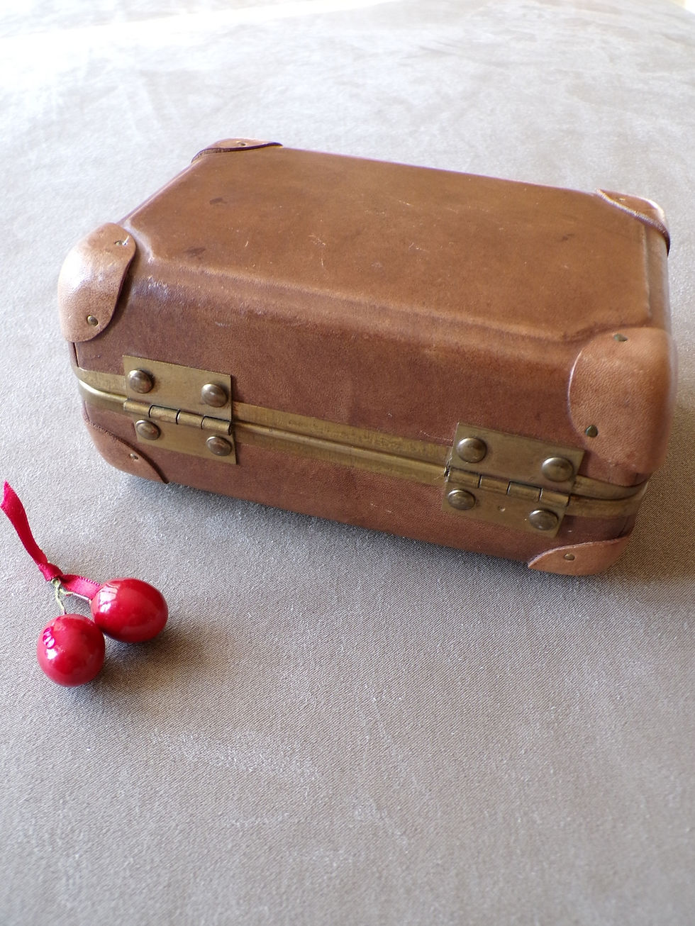 Miniature : Petite Valise en Cuir
