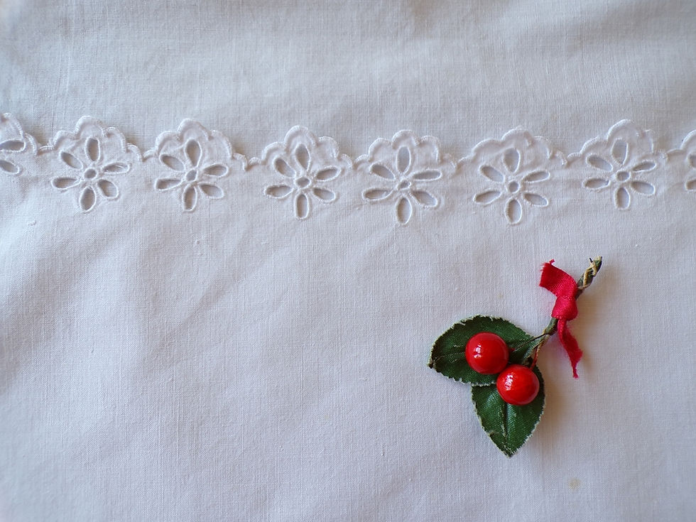 Miniature : Pochette à Lingerie NC