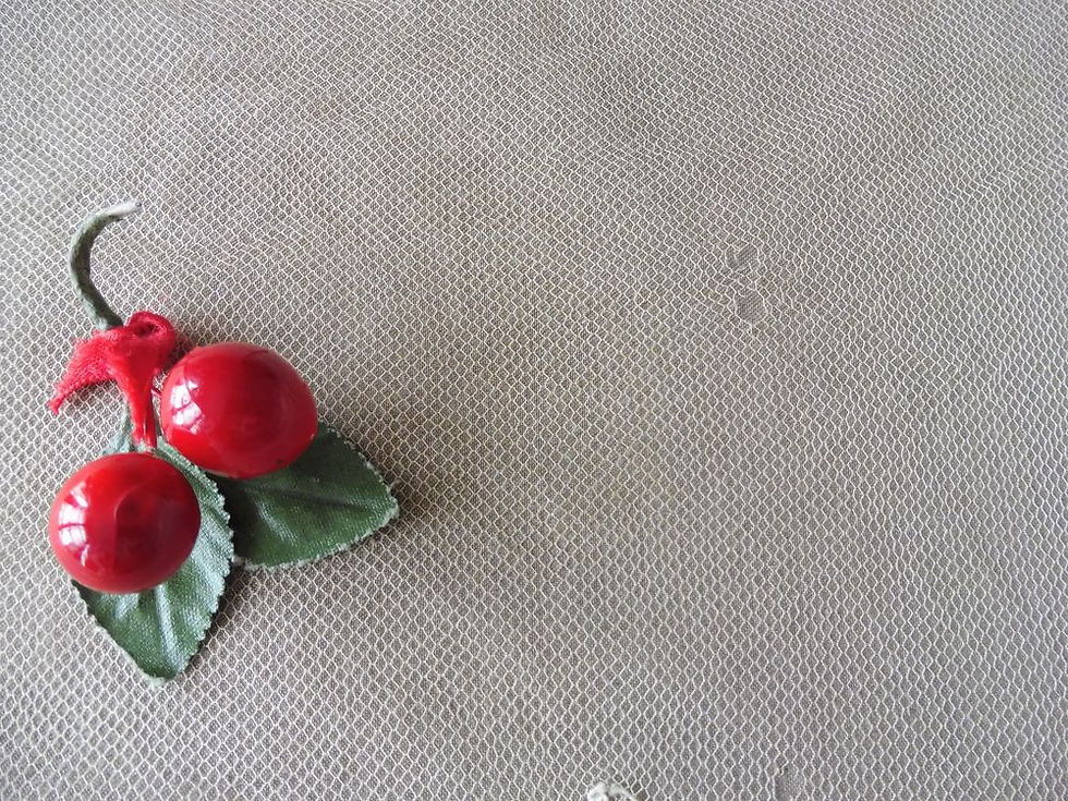 Miniature : Tulle Rebrodé 1850 (N°3)