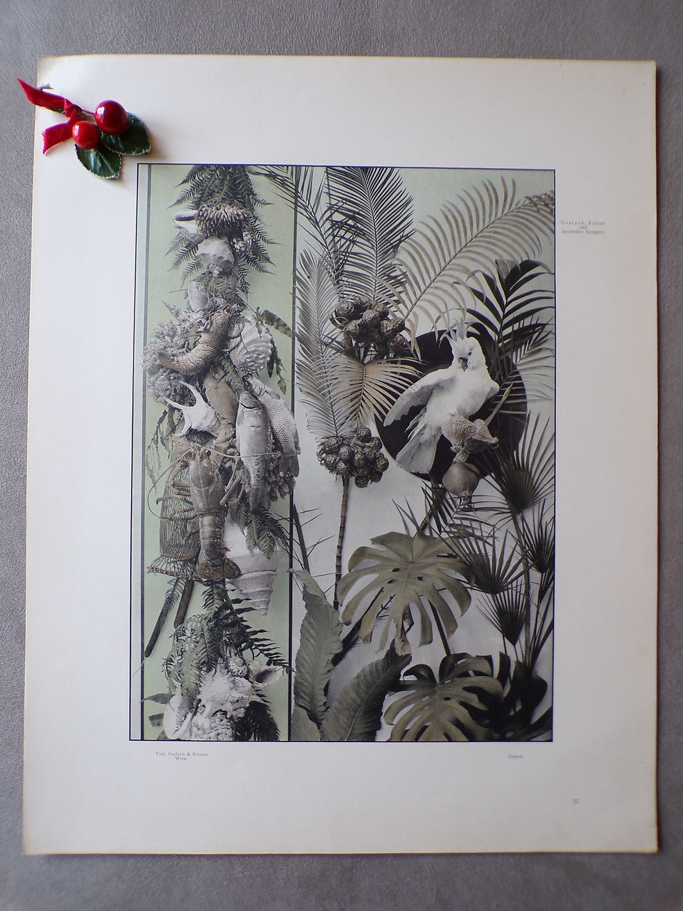 Miniature : Planche 1900 (n°37)