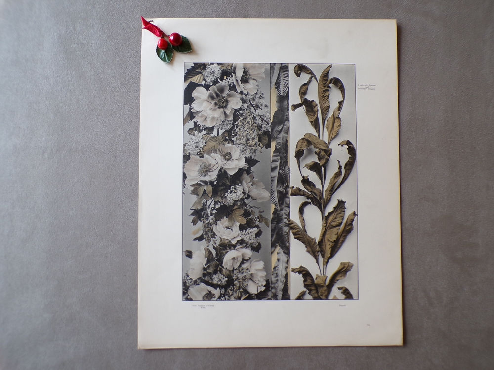Planche 1900 (n°44)
